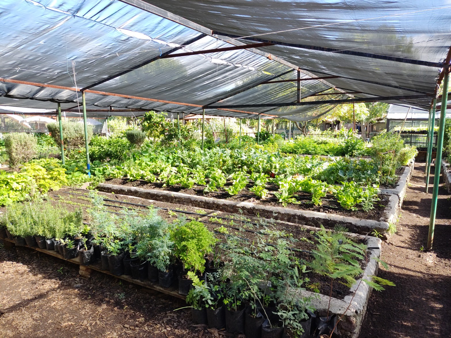 Organic Farm and Wine Tasting Tour